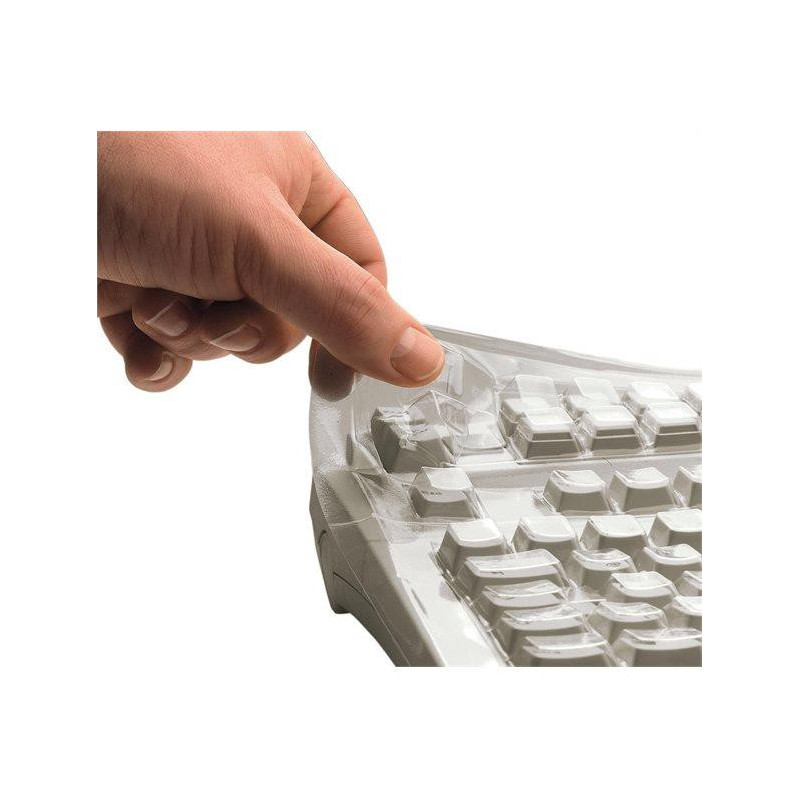 item281010510000