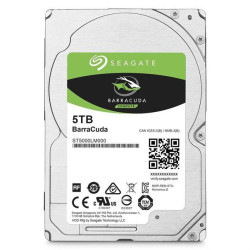 item243000910000